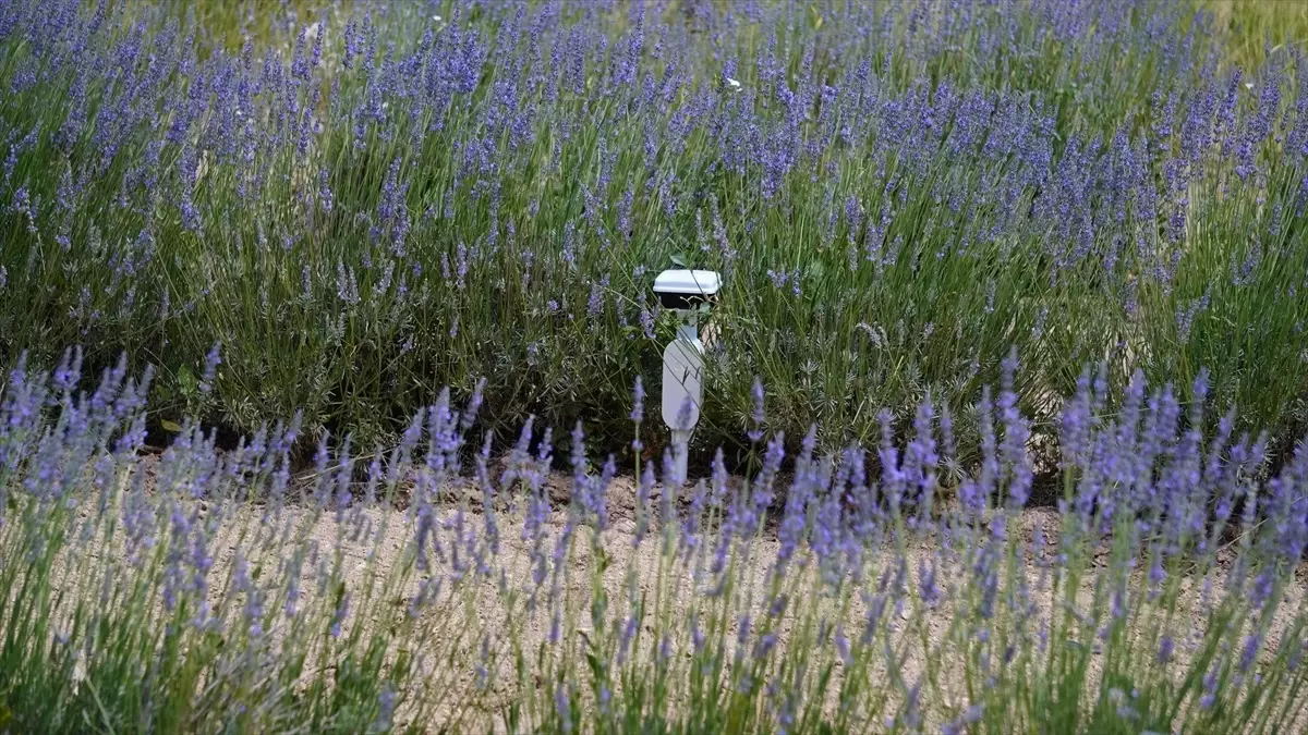 turkiyede ilk leo uydu iletisim yetkilendirmesi pD67sEI9