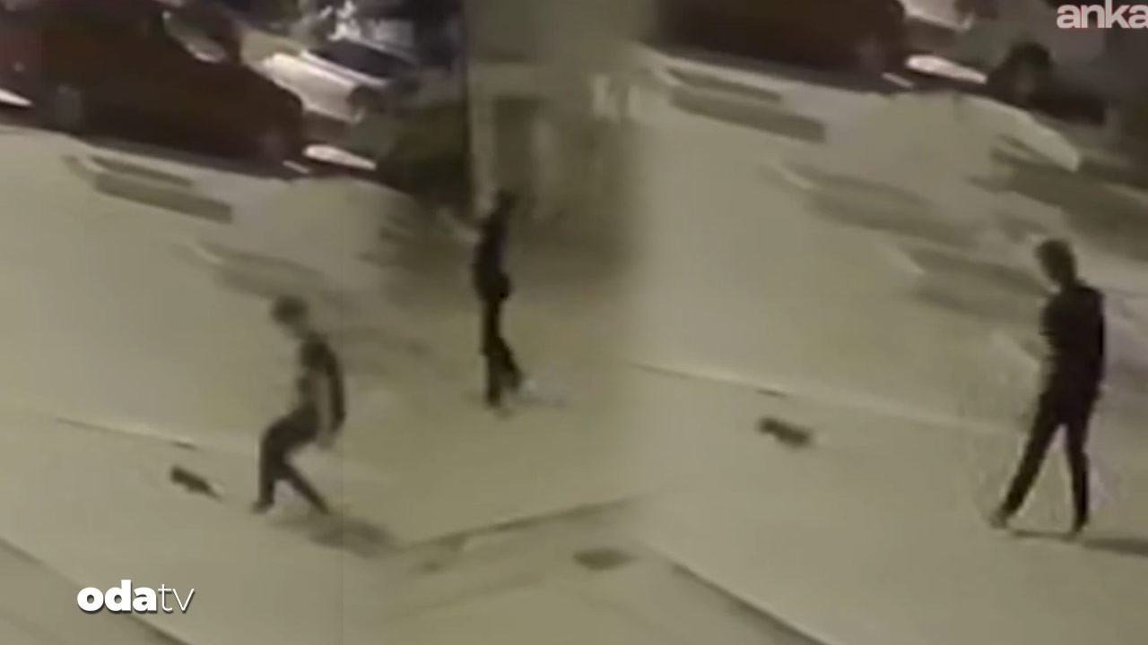 yavru kediyi firlatarak oldurdu 5DIgDr5T