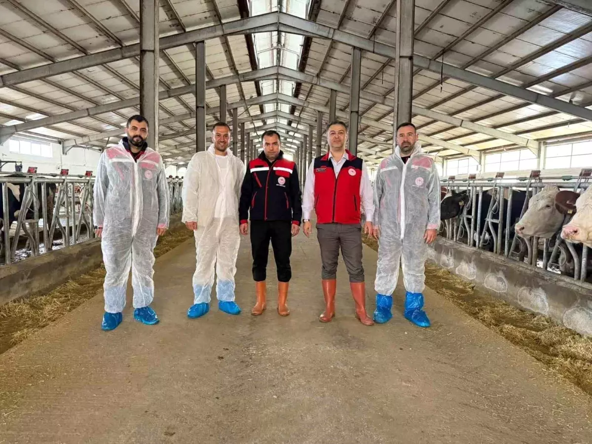 afyonkarahisarda yeni hastaliktan ari isletme sertifikasi 2YEluqK2.jpg