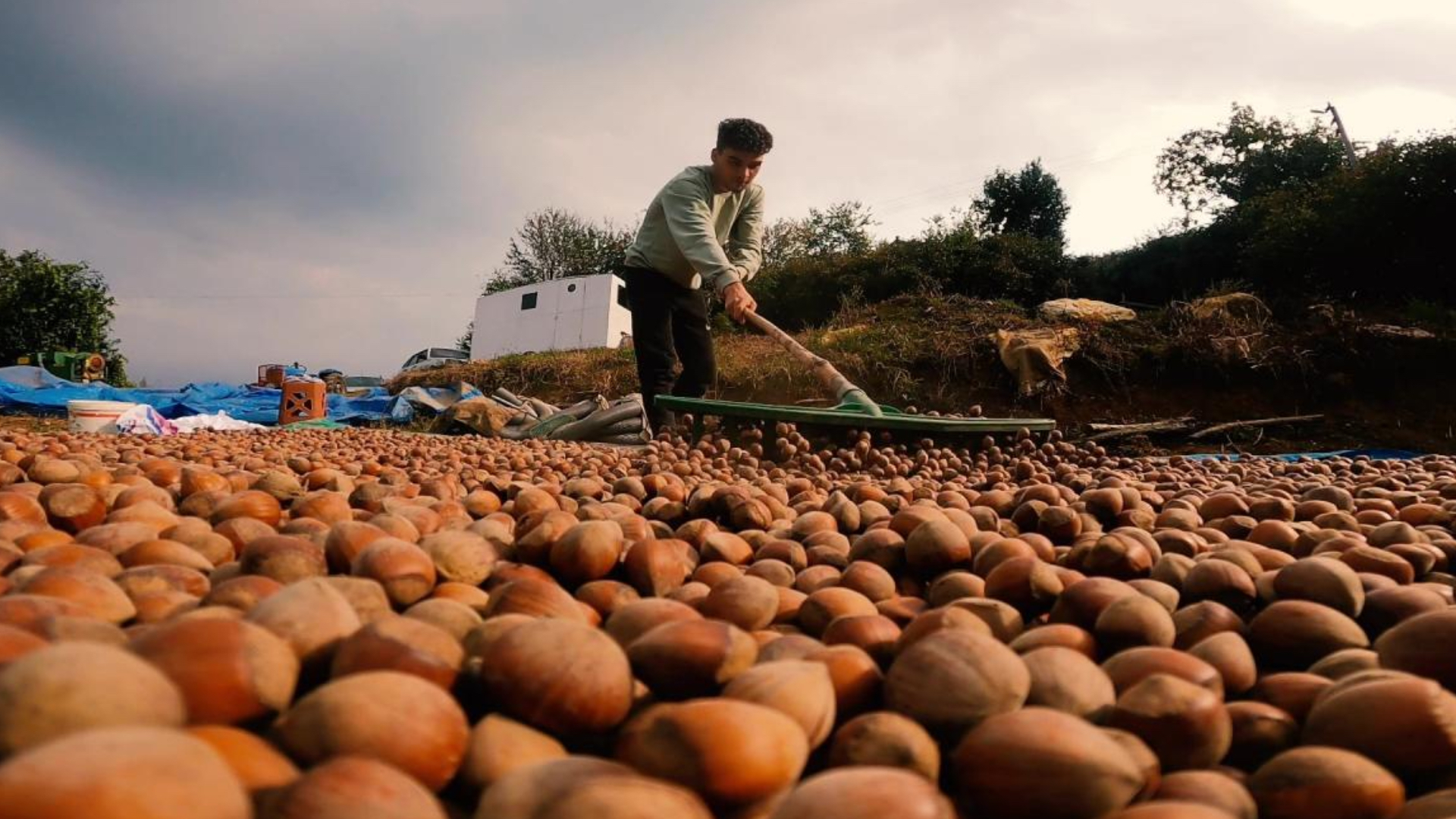 turkiye findik ihracatindan 9 ayda 16 milyar dolari askin gelir sagladi sHO6VRO8.jpg