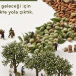 Haber gorseli